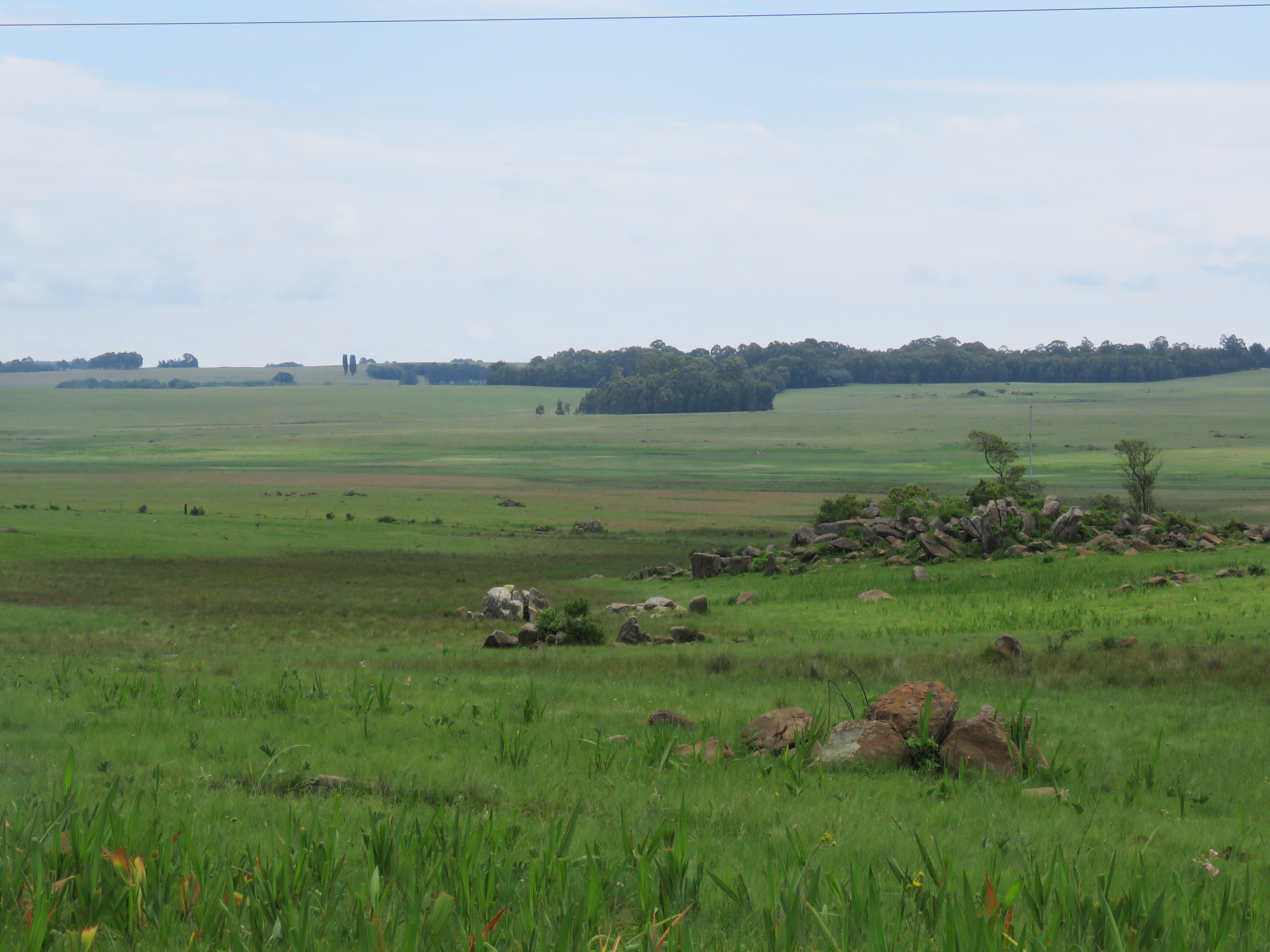 Upper Lakenvlei Wetland, situated within the Middlepunt Nature Reserve